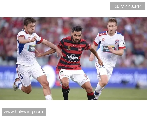 惠灵顿凤凰与悉尼足球队对决赛前深度分析与战术展望